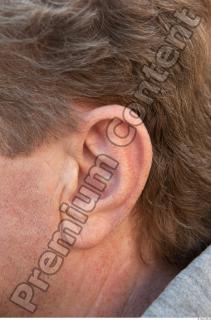 Ear texture of street references 463 0001